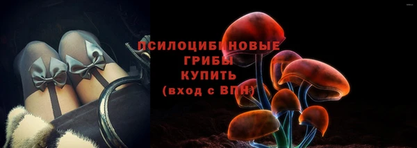 ешки Аркадак