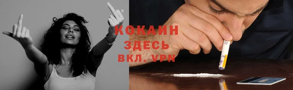 ешки Аркадак