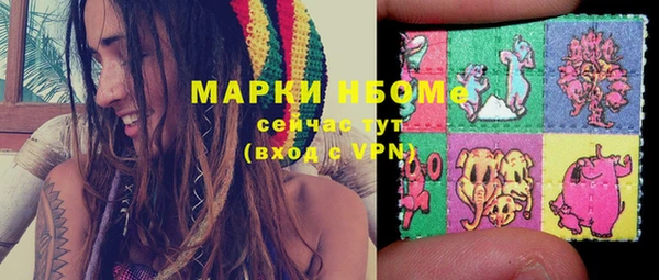 ешки Аркадак