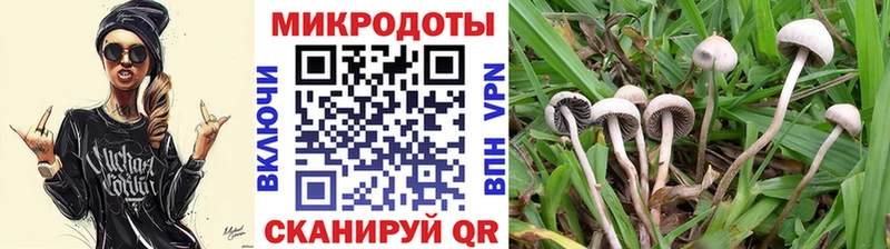 гидра зеркало  Сухиничи  Галлюциногенные грибы Psilocybe  купить  