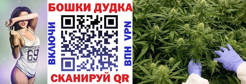 ОМГ ОМГ tor  Сухиничи  Каннабис планчик  как найти  